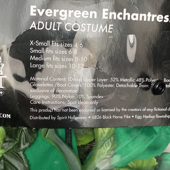 Evergreen Enchantress Costume - Picture 5 of 5